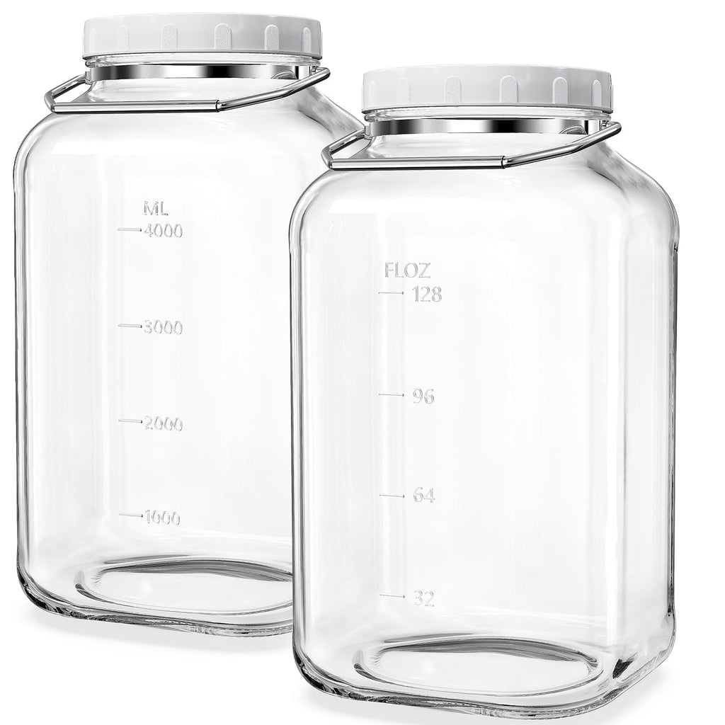 2 Pack 1.5 gal Syntic Glass Food Storage Containers with Lids and Handle, Gallon Jars for Pantry 192 oz Clear