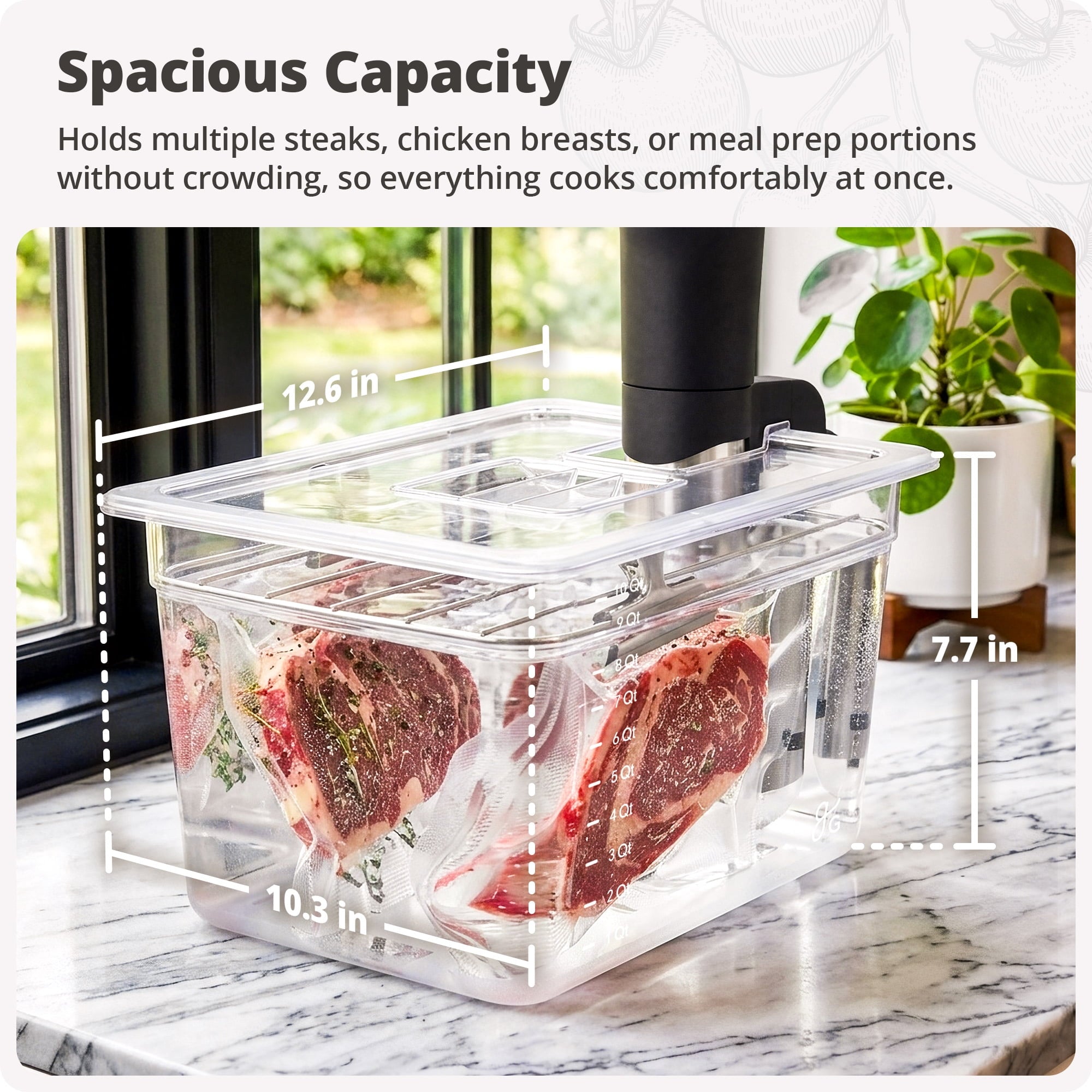 Greater Goods 12 Quart Sous Vide Container with Lid and Rack, Insulating Sleeve, Compatible with Anova, Breville Joule, Inkbird - Onyx Black - Image 5