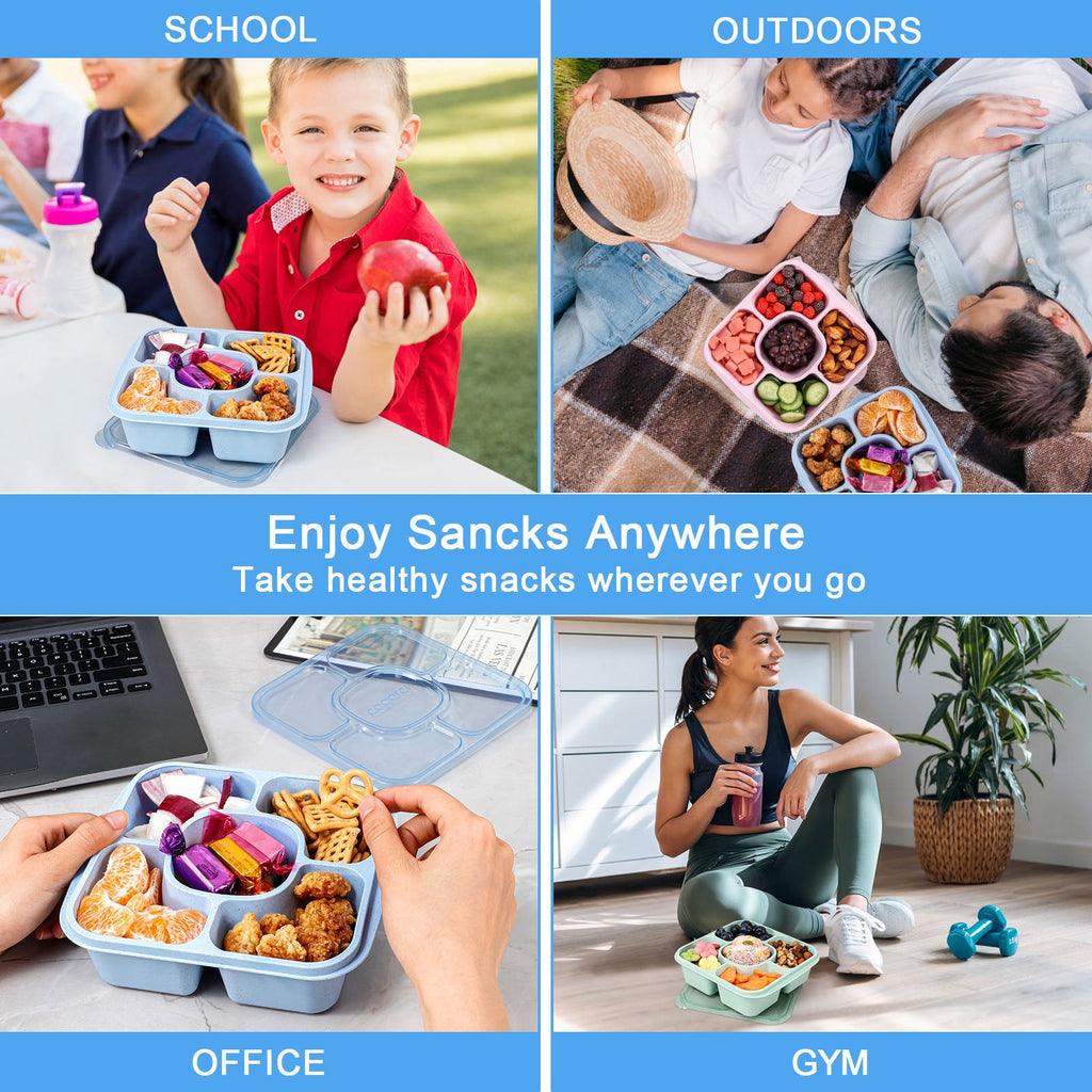 Caperci 3 Pack Lunchable Snack Containers -660ml 5 Compartment Lunchable Containers with Dividers, Dishwasher Safe, New Virgin PP Translucen - Image 5
