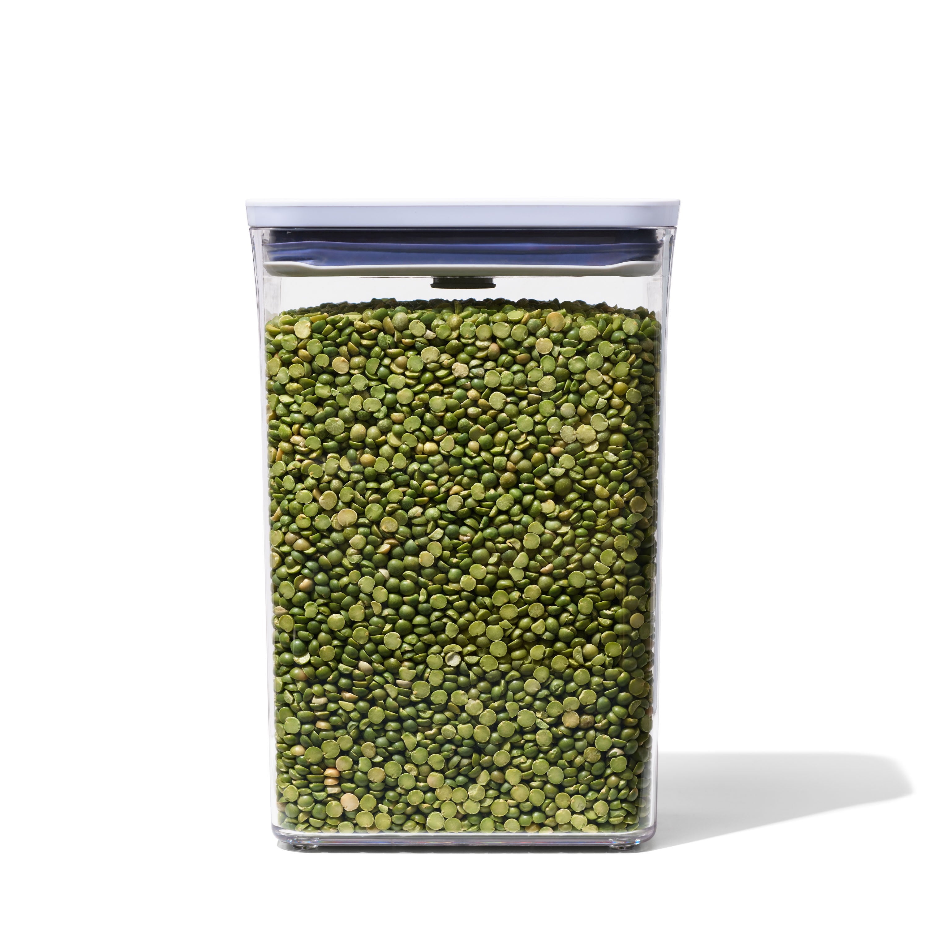 Container - Rectangle Medium 2.7 Qt