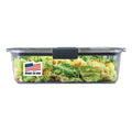 9.6 Cup Large Stain-Proof Food Storage Container