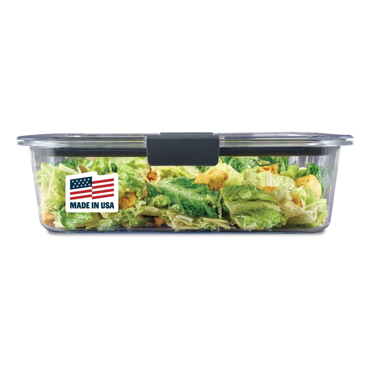 9.6 Cup Large Stain-Proof Food Storage Container
