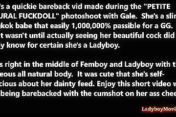 A Bareback Anal Quickie With Asian Ladyboy Gale