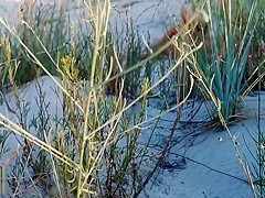 Amateur couple got caught having sex on the beach by  
