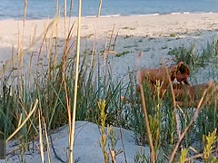 Amateur couple got caught having sex on the beach by  