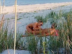 Amateur couple got caught having sex on the beach by  