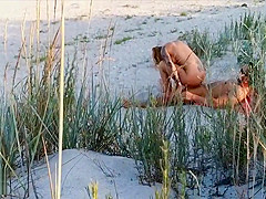 Amateur couple got caught having sex on the beach by  