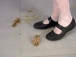 Amelia Crush Crawdad