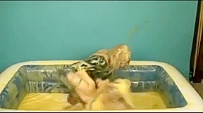 Angel Delight Custard Fight