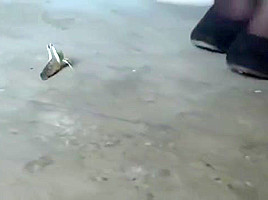 Anya stairway locust crushing in high heels 