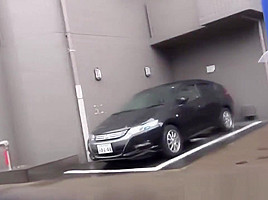 Asian hos caught pissing