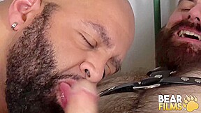 BEARFILMS Black Bear Brooklyn Bear Barebacks Steve Sommers