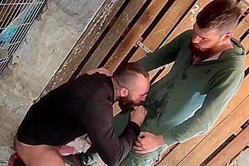 Berlin Piss Pigs Tyler Rex