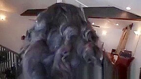 Big Black Cock Deep In Dianna Dee