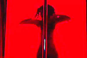 Big dick stripdancer ladyboy