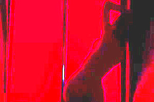 Big dick stripdancer ladyboy