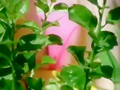 Bikini girl cameltoe in beach video