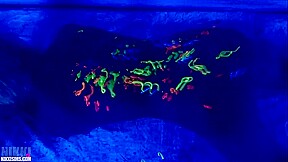 Black Light Body Paint video