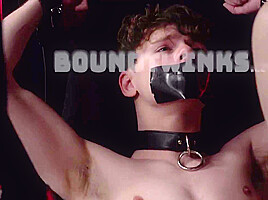 Bound Twinks Twink Andrew Bolt Gets Used and Bred by Tyler Tanner