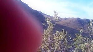 CHRISTINA PHILISTINE - HITCHHIKING SLUT STRIPS AND SUCKS DICK OUTDOORS