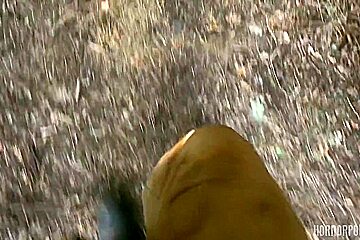 Captive Horny Women Fucked By A Horny Beast