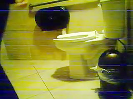 Captures Women on the Toilet