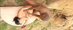 Cheating Wife 2