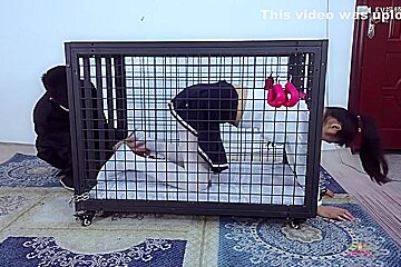 Chinese Bondage 1307
