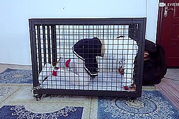 Chinese Bondage 1307