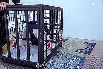 Chinese Bondage 1307