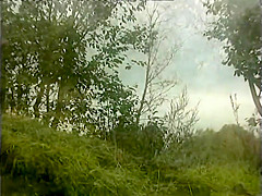 Classic Vintage Retro Video 1039812