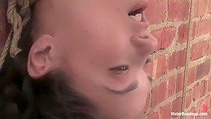 Crazy fetish sex video with horny pornstar Sasha Grey from Waterbondage