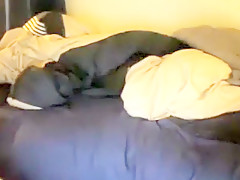 Cute fit guy jerks and cums