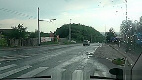 Czary milf with imaginary dog drilled in van before dog jump out of car
