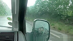 Czary milf with imaginary dog drilled in van before dog jump out of car