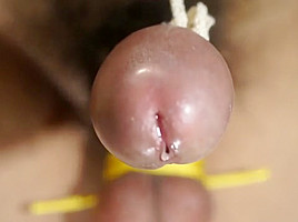 Daily Bondage 3- Super HD slit drip and balls worship- hands free cum