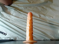 Doggy Style Dildo Ride, CumShot Ending
