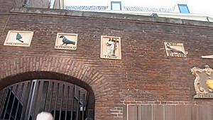 Dutch prostitute jizzed