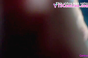 Excited Latina Sheboys Playing Whit Their Bigcocks 2 Live Webcam Show