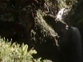 Fabulous pornstar in exotic blonde, outdoor xxx movie