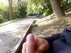 Flashing in the park