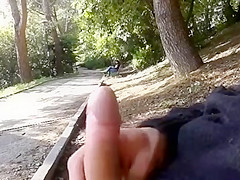 Flashing in the park