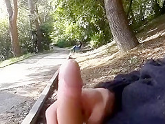 Flashing in the park