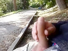 Flashing in the park