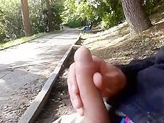 Flashing in the park