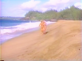 Francois Papillon - Hawaii Vice #1 (1988)