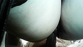 French divorced ugly sexfriend toilets suck and fuck 2