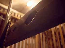 German Amateur Basement Gangbang