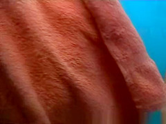 Greatest Beach, , Amateur Scene, Watch It