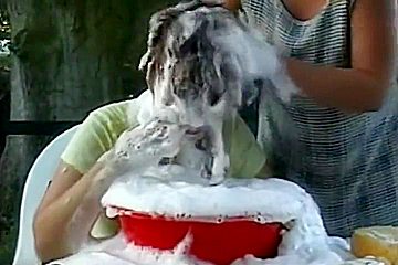 Hair Wash Afterthep